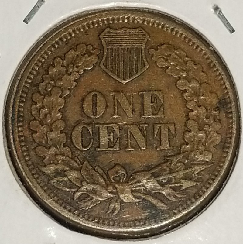 Started-My-Indian-Head-Cents-Collection