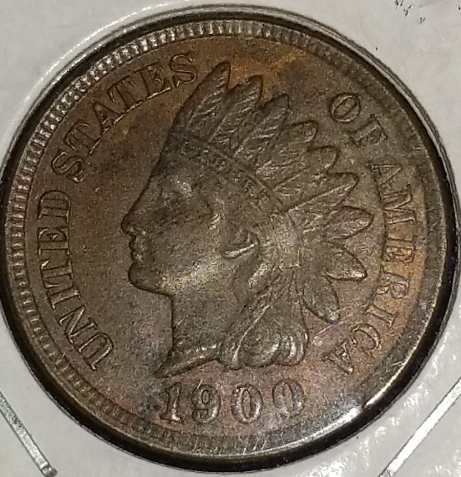 Started-My-Indian-Head-Cents-Collection