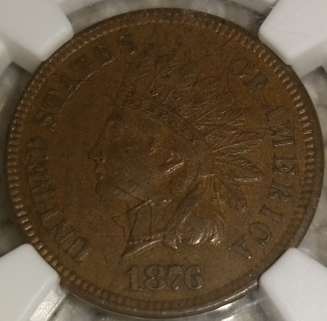 Started-My-Indian-Head-Cents-Collection