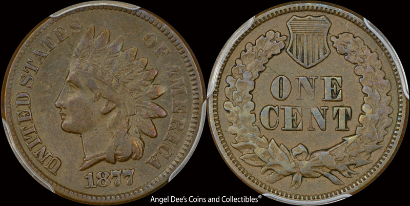 Started-My-Indian-Head-Cents-Collection
