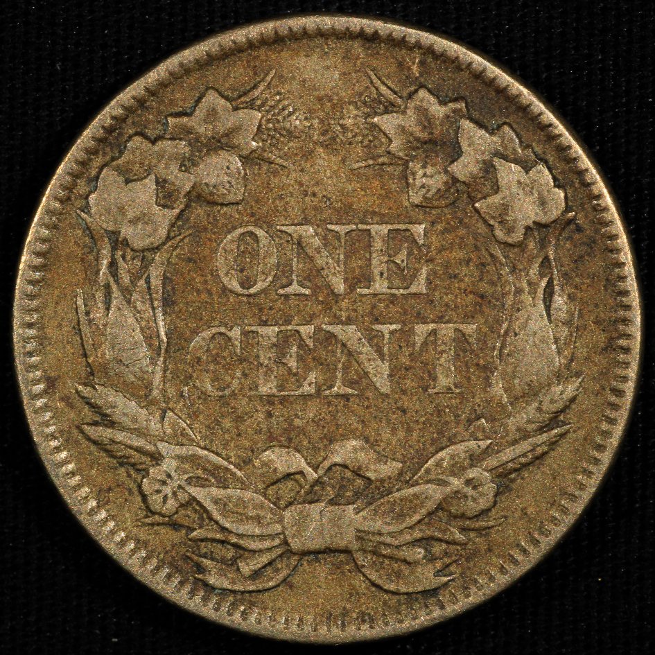 1857-Flying-Eagle-Cent-Opinions