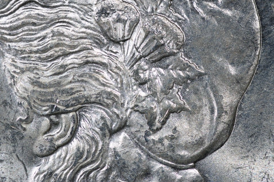 1890-S-VAM-1l-Confirmation?