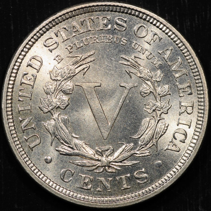 1898-Liberty-V-Nickel-Raw-Opinions