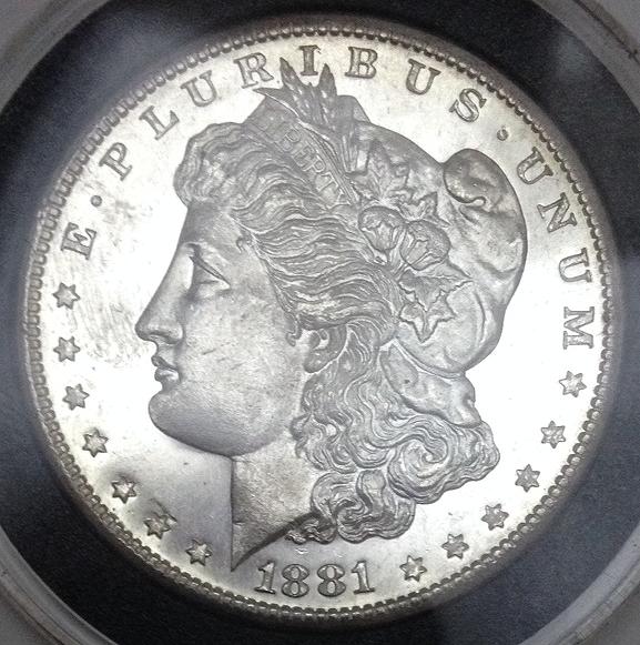 1881-S-Morgan:-You-Vs.-ANACS-C.1984