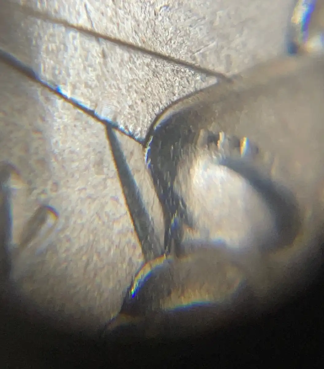 2026-Semiquincentennial-Half-Dollar-Obverse
