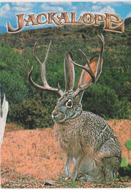 It's-That-Time-Of-Year---Ugly's-Beautiful-Postcard-Ends-0530