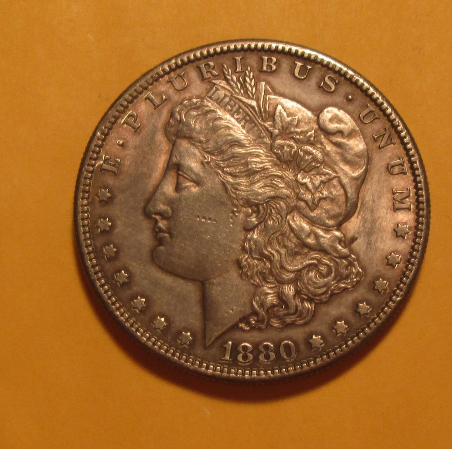 My-First-Morgans