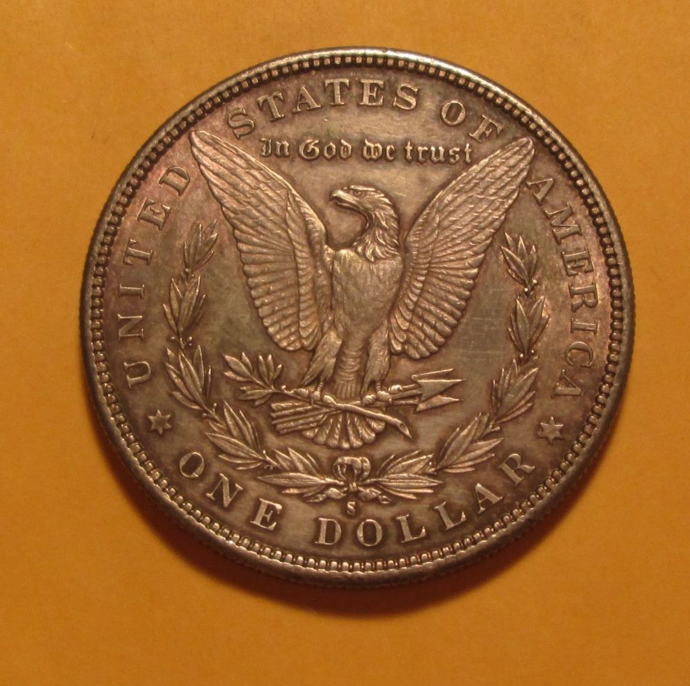 My-First-Morgans