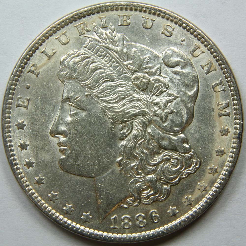 My-First-Morgans