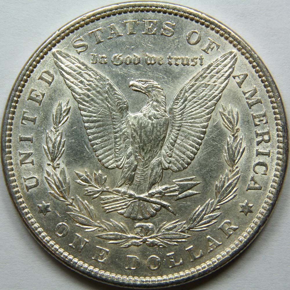 My-First-Morgans