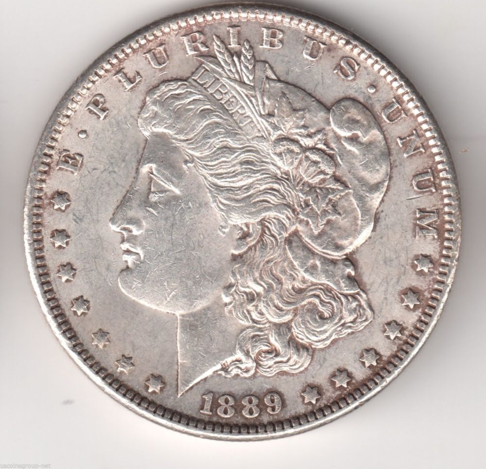 My-First-Morgans