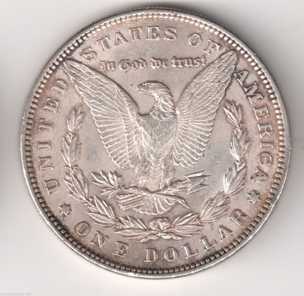My-First-Morgans