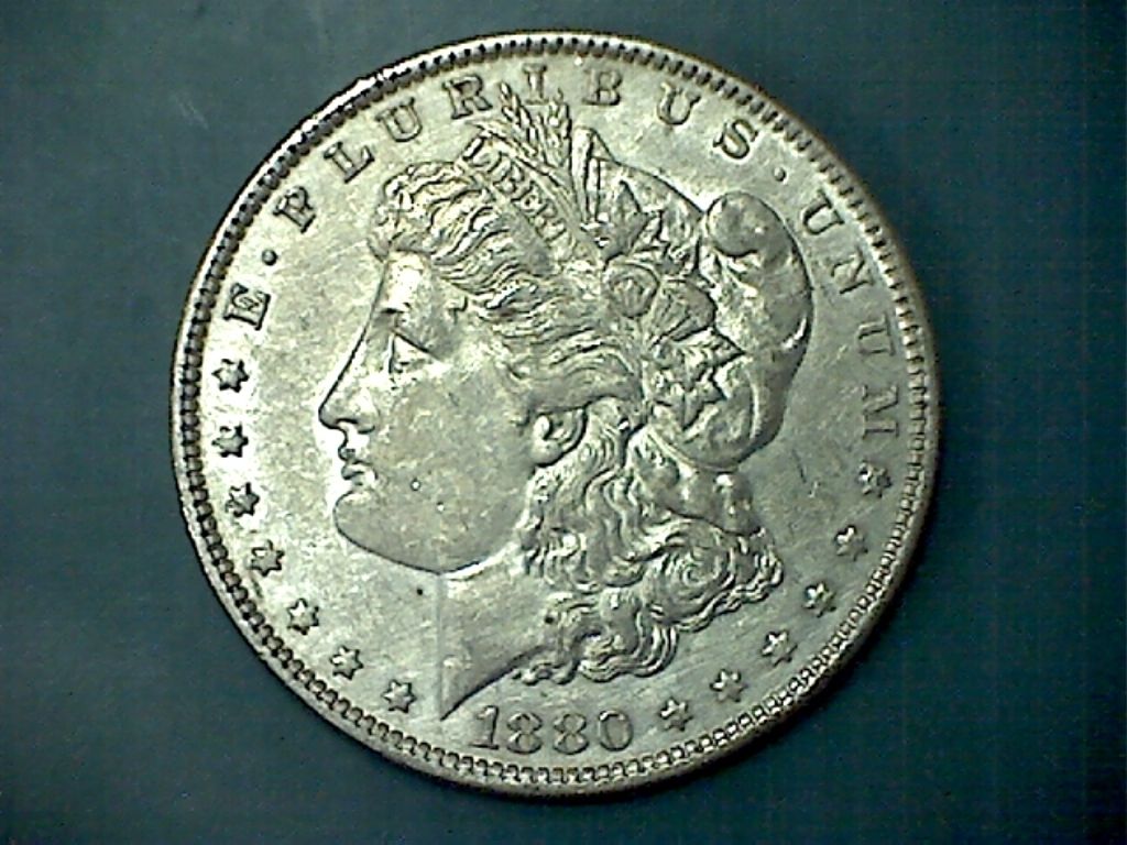 A-Few-Morgans-Picked-Up-Over-The-Weekend