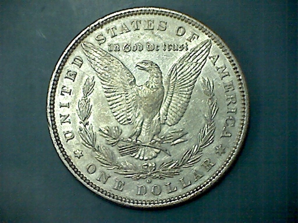 A-Few-Morgans-Picked-Up-Over-The-Weekend