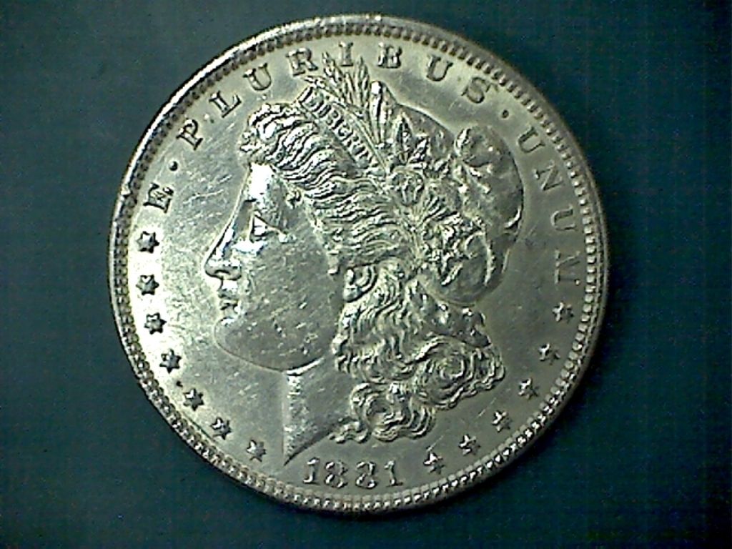 A-Few-Morgans-Picked-Up-Over-The-Weekend