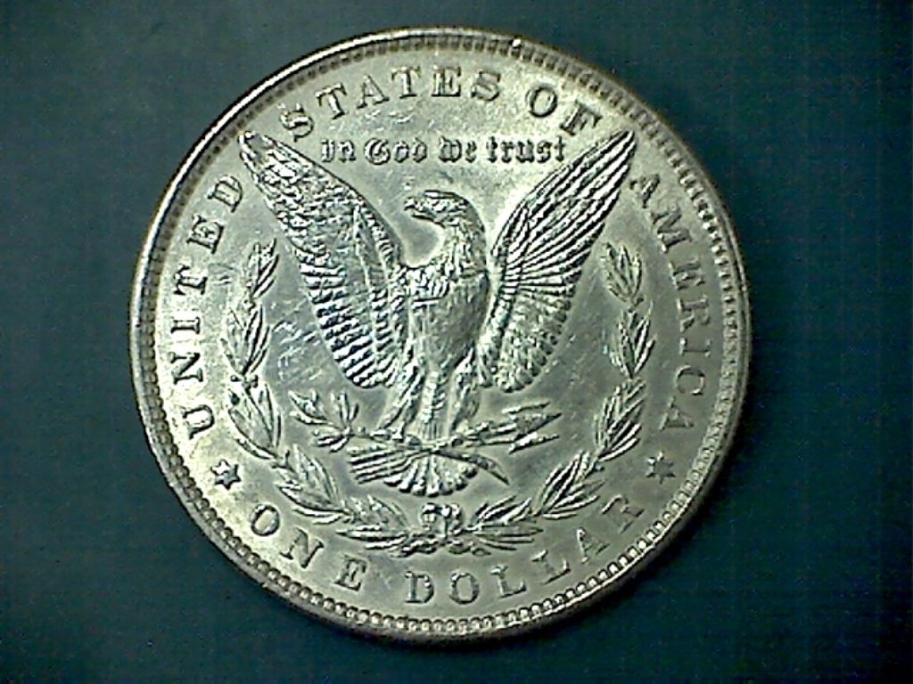 A-Few-Morgans-Picked-Up-Over-The-Weekend