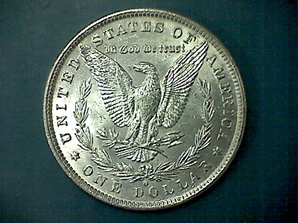 A-Few-Morgans-Picked-Up-Over-The-Weekend