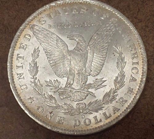 A-Few-Morgans-Picked-Up-Over-The-Weekend