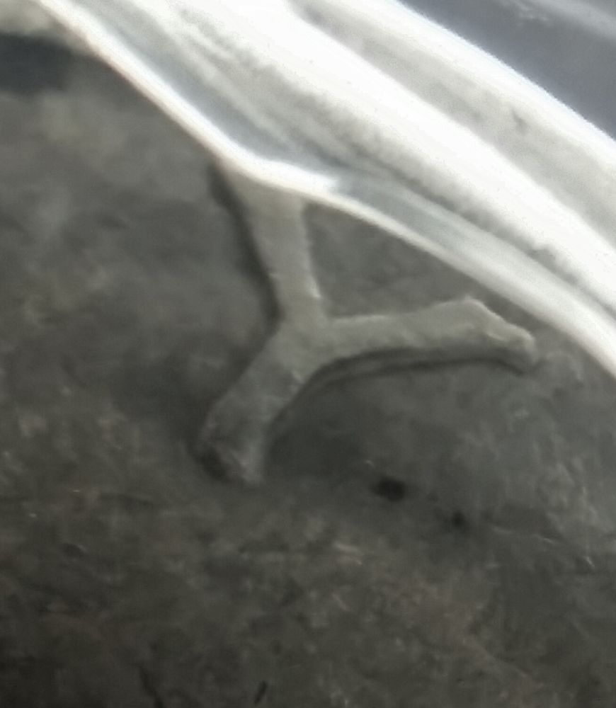 1942/1-Mercury-Dime---Double-Over-Date-Or-DDO?-Please-Help!