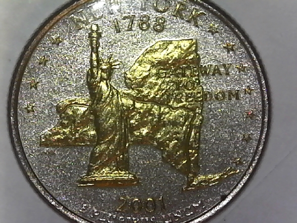 State-Quarter-Plastic-Coated-With-Gold-Highlights-On-Reverse