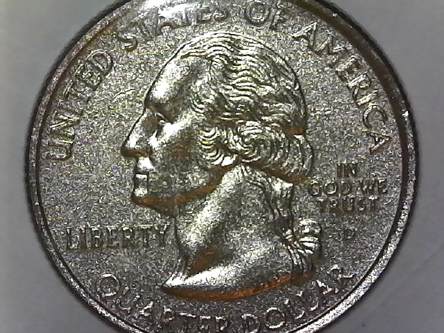 State-Quarter-Plastic-Coated-With-Gold-Highlights-On-Reverse