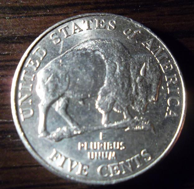 Speared-Bison?