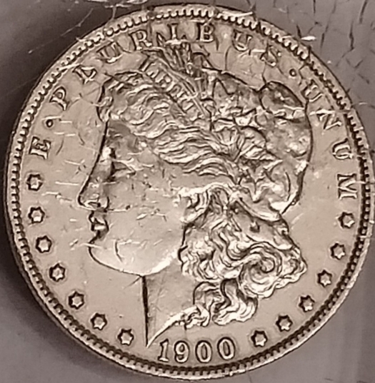 Is-This-Morgan-A-1900-O/Cc-VAM-8c?