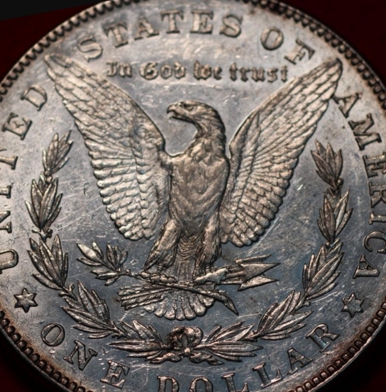 1878-7TF-Reverse-Of-1878-Morgan-Silver-Dollar-Mint-Error?--Opinions-Please