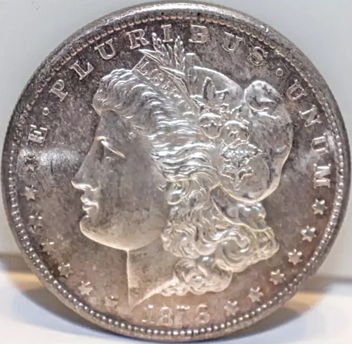 1878-S-Morgan-Silver-Dollar---You-Vs.-PCGS