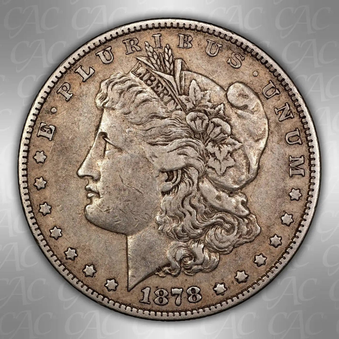 1878-7/8TF-Morgan-Silver-Dollar---You-Vs.-CACG:-Nothingburger-Edition