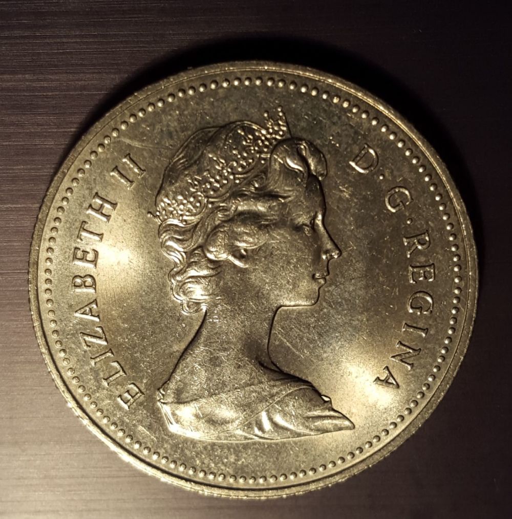 New-To-The-50-Cents-World,-Need-Advice-On-What-I-Procured...