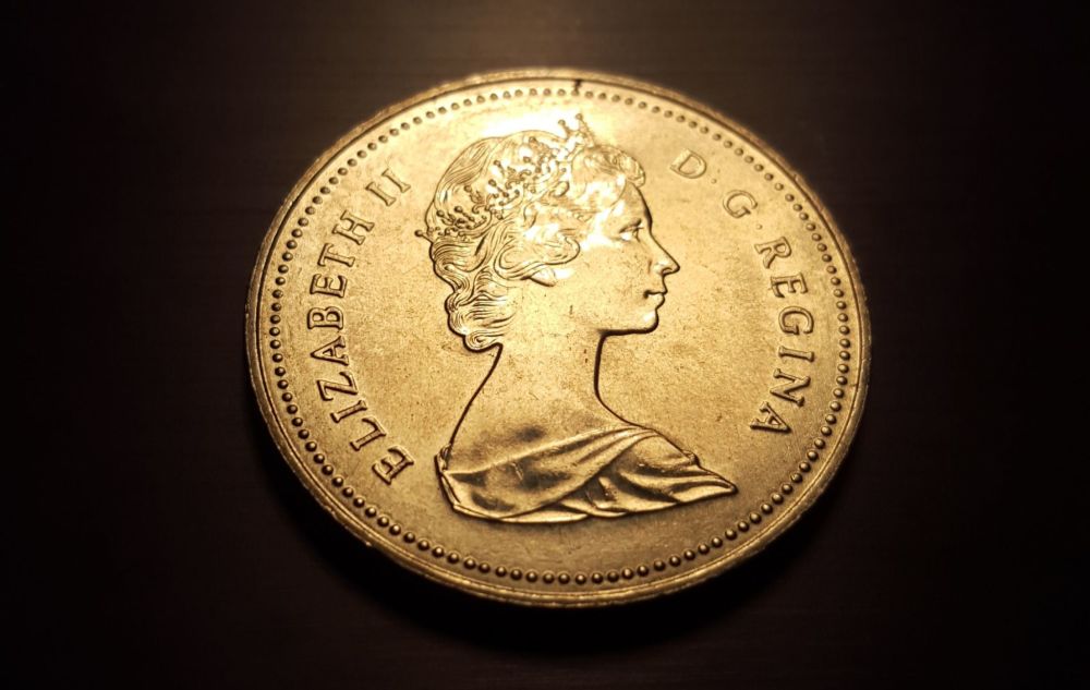 New-To-The-50-Cents-World,-Need-Advice-On-What-I-Procured...