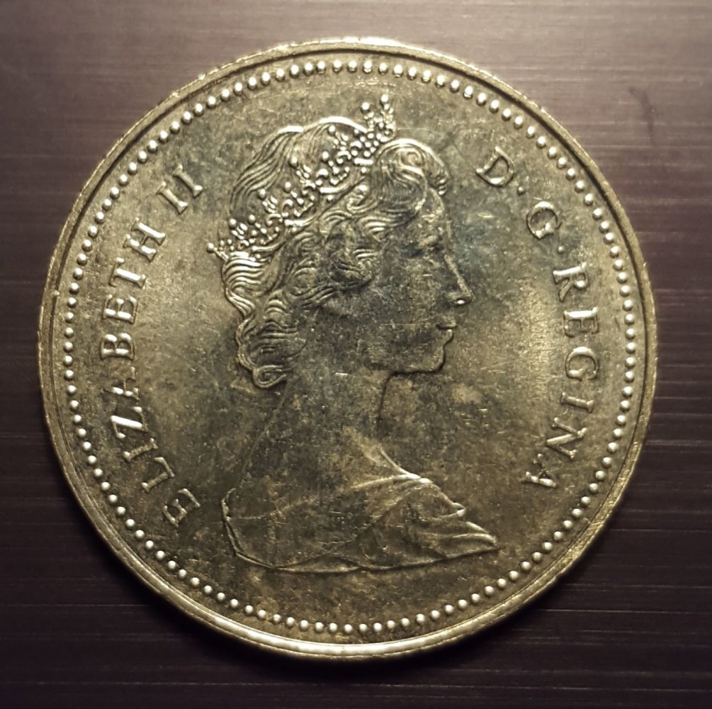 New-To-The-50-Cents-World,-Need-Advice-On-What-I-Procured...