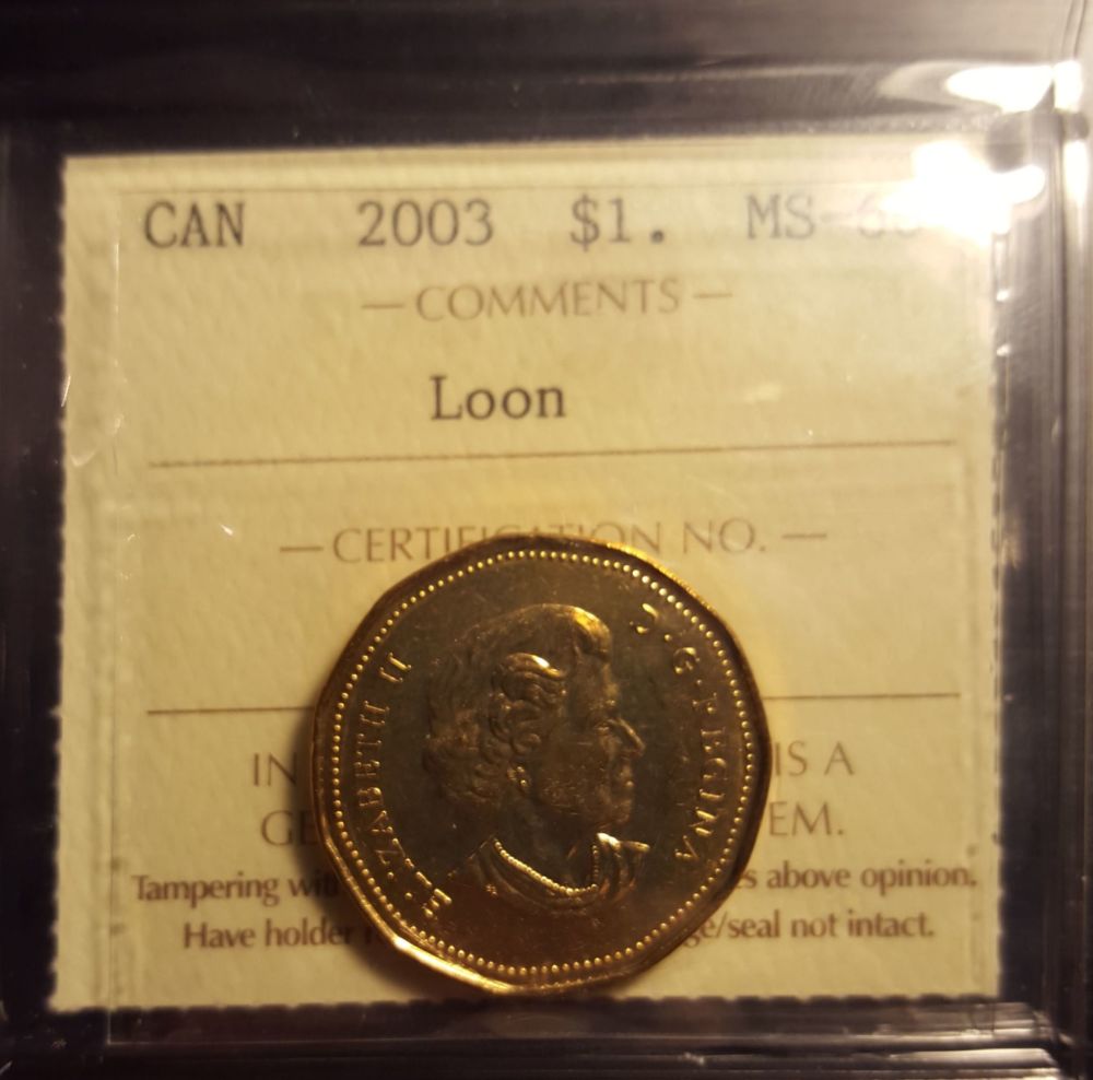 Really-An-MS-66-Or-Is-There-Fraud-Going-On?-2003-Loon
