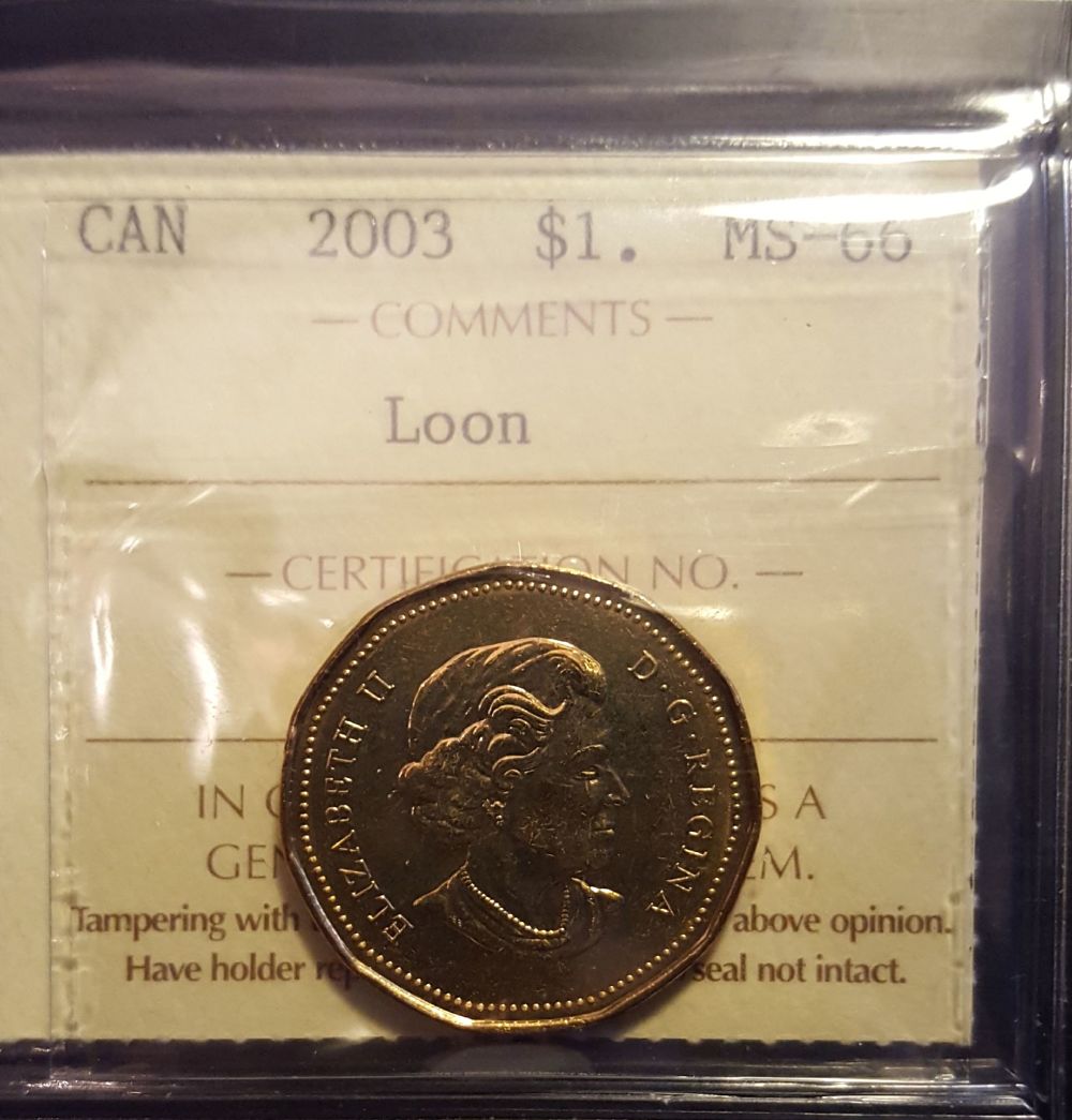 Really-An-MS-66-Or-Is-There-Fraud-Going-On?-2003-Loon