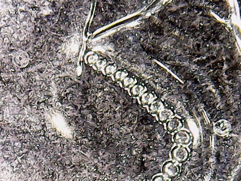 Unknown-Circular-Marks-On-2015-MS-Quarter