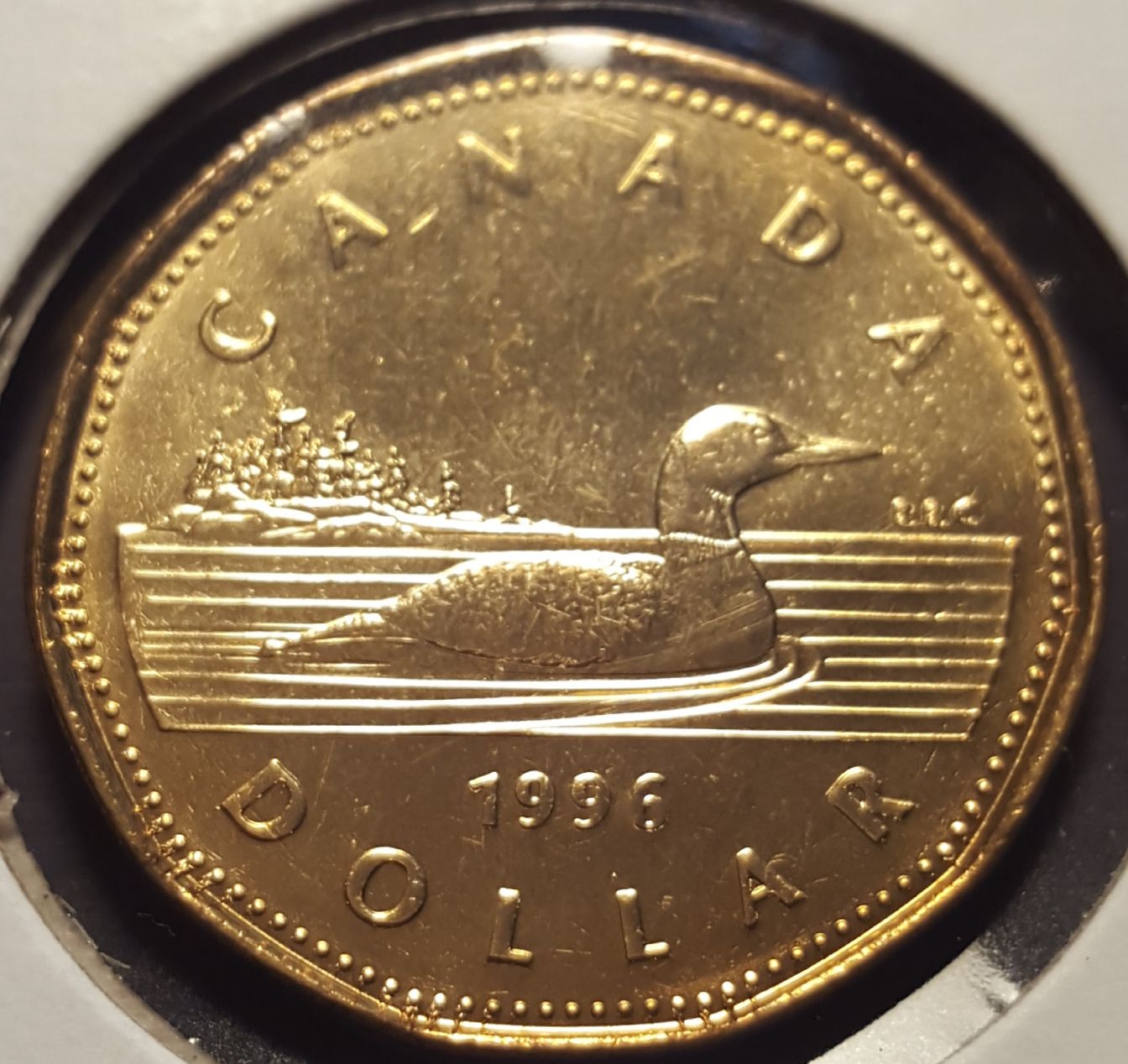 Help-Identifying-Error-Type-On-1996-Canada-Loonie---Mint-State