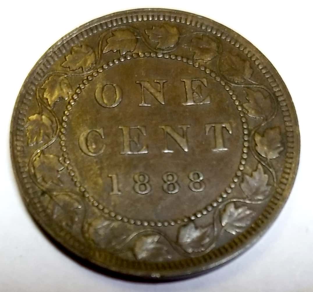 Looking-For-Grade---1888-1c