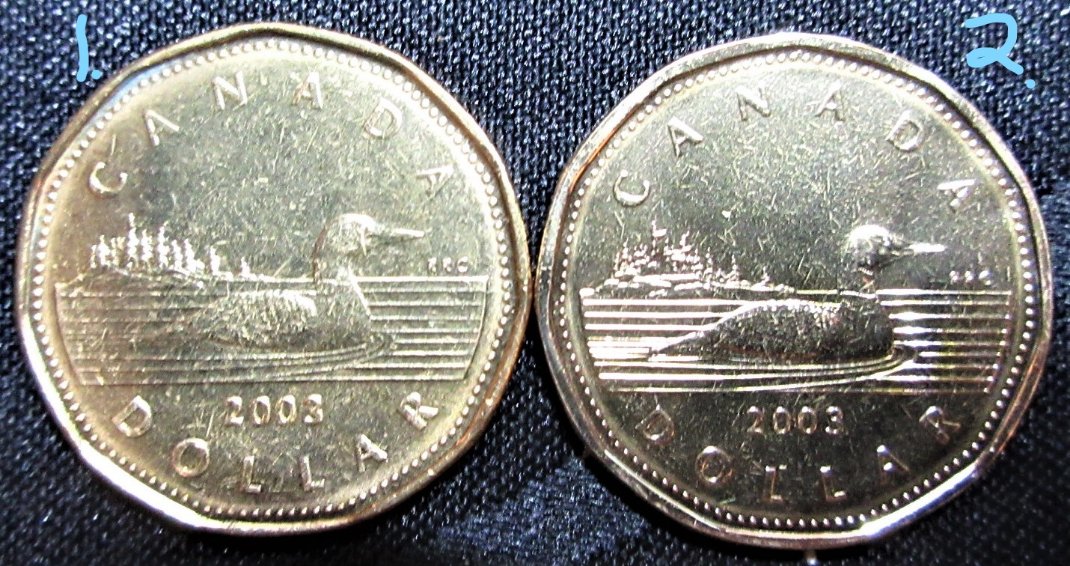 Have-You-Found-These-Loonies?