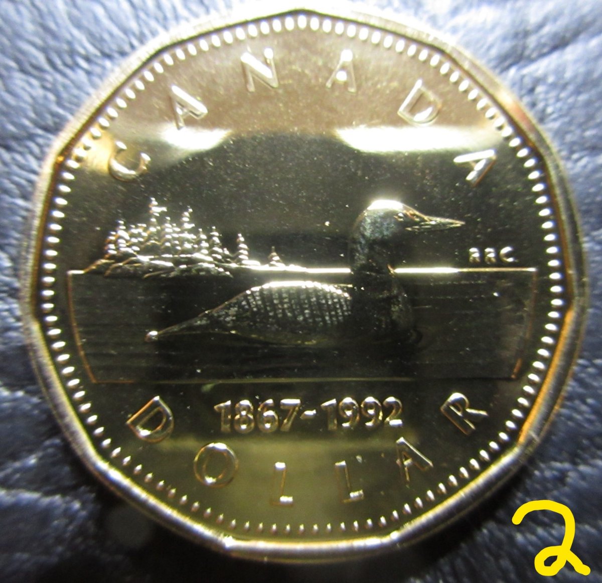 Identifying-1992-Loonie---Is-#1-Specimen-Or-Proof-Like?