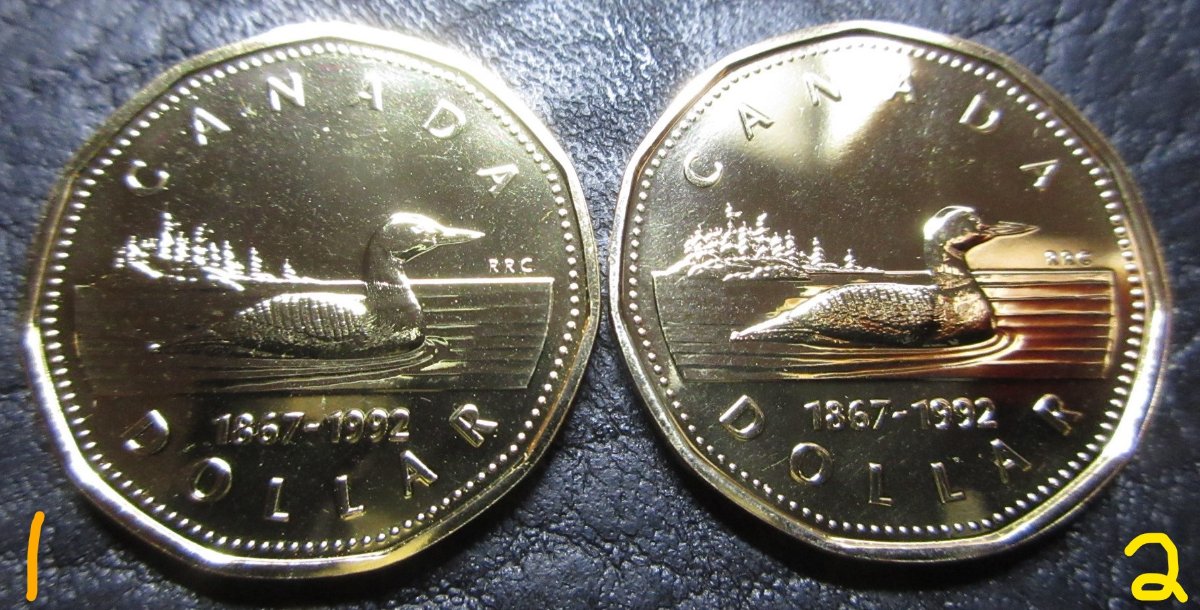Identifying-1992-Loonie---Is-#1-Specimen-Or-Proof-Like?