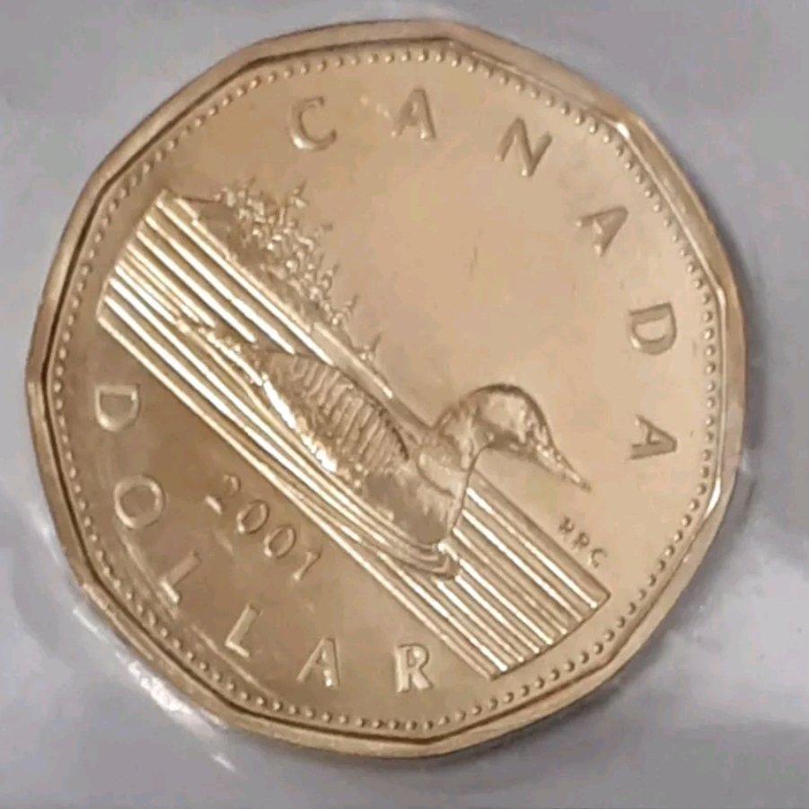 Have-You-Found-These-Loonies?