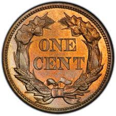 Am-I-An-Idiot-For-Buying-This-Coin?--Flying-Eagle-1857