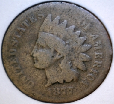 Questionable-1877-IHC