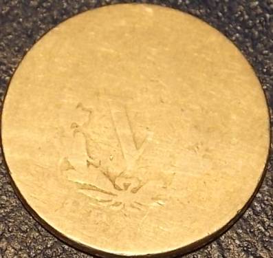 The-30-Days-Of-Liberty-Head-V-Nickels!