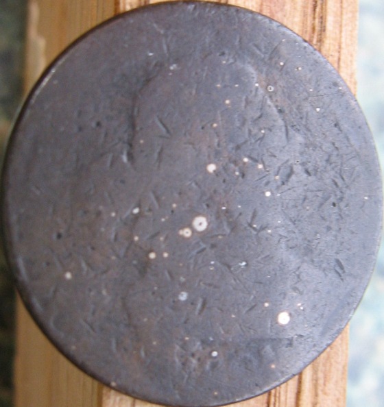 The-10-Days-Of-Diminishing-Grades-Of-US-Classic-Coins