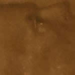 1953-Double-Eyelid?