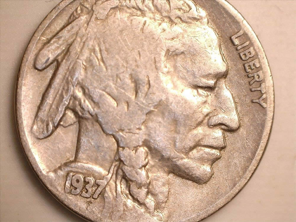 1937-D-Buffalo-DDR-On-Top-Of-Fethers-Or-MD?