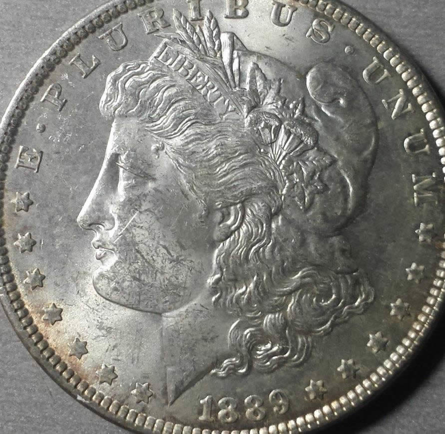 1889-Morgan-Dollar-VAM-1-Closed-9