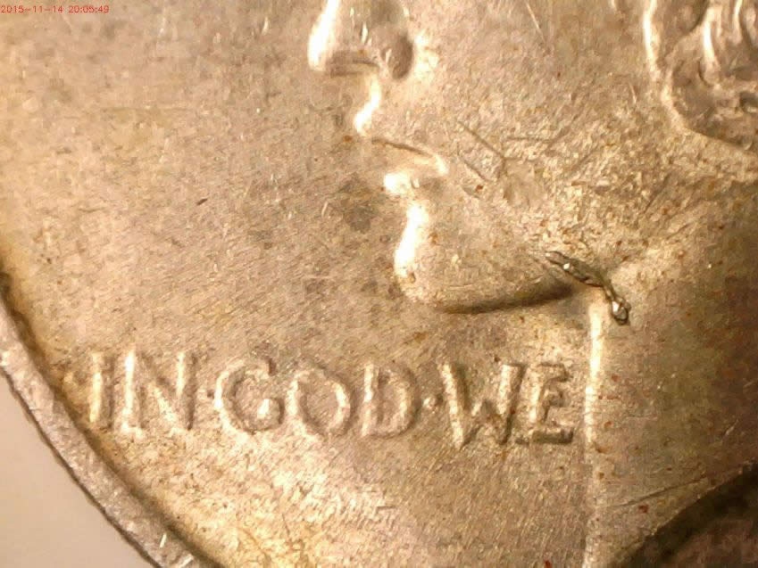 1923-Peace-Dollar-Neck-Die-Chip-Help
